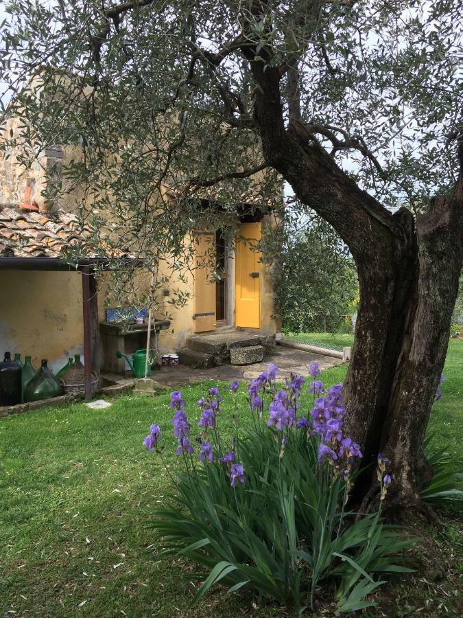 Settignano Tuscany Homes Ngoại thất bức ảnh